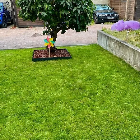 شقة B3 - Bike & Bed *