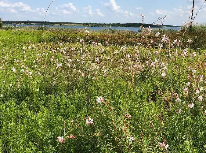 B3 - Bike & Bed Bitterfeld-Wolfen